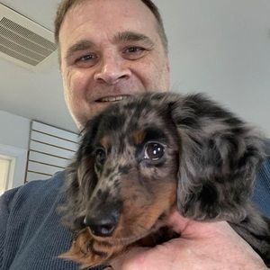 Meet your Posher, Maurice